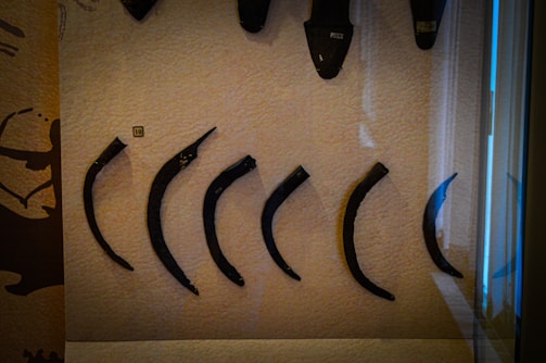 A collection of curved, black objects is displayed against a textured beige background, enclosed in a glass case. Positioned vertically, they vary slightly in size and shape, with some showing signs of wear or age. A small label marked '10' is placed beside them, suggesting they are part of a curated exhibit.