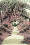 Pathway lined with blooming flowers leading to the resort’s main entrance.