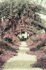 A peaceful garden path lined with blooming flowers under soft sunlight.