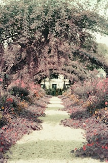 A serene pathway lined with blooming flowers leading through the memorial garden under soft morning light