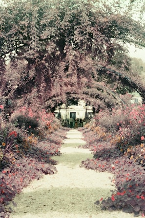 A peaceful garden path lined with blooming flowers under soft sunlight.