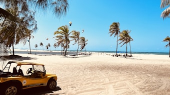 A sandy beach lined with palm trees, with a bright yellow dune buggy in the foreground. The sky is clear and blue, with several kite surfers visible in the distance on the ocean. The palm trees sway gently in the breeze, and there are faint tire tracks on the sand.