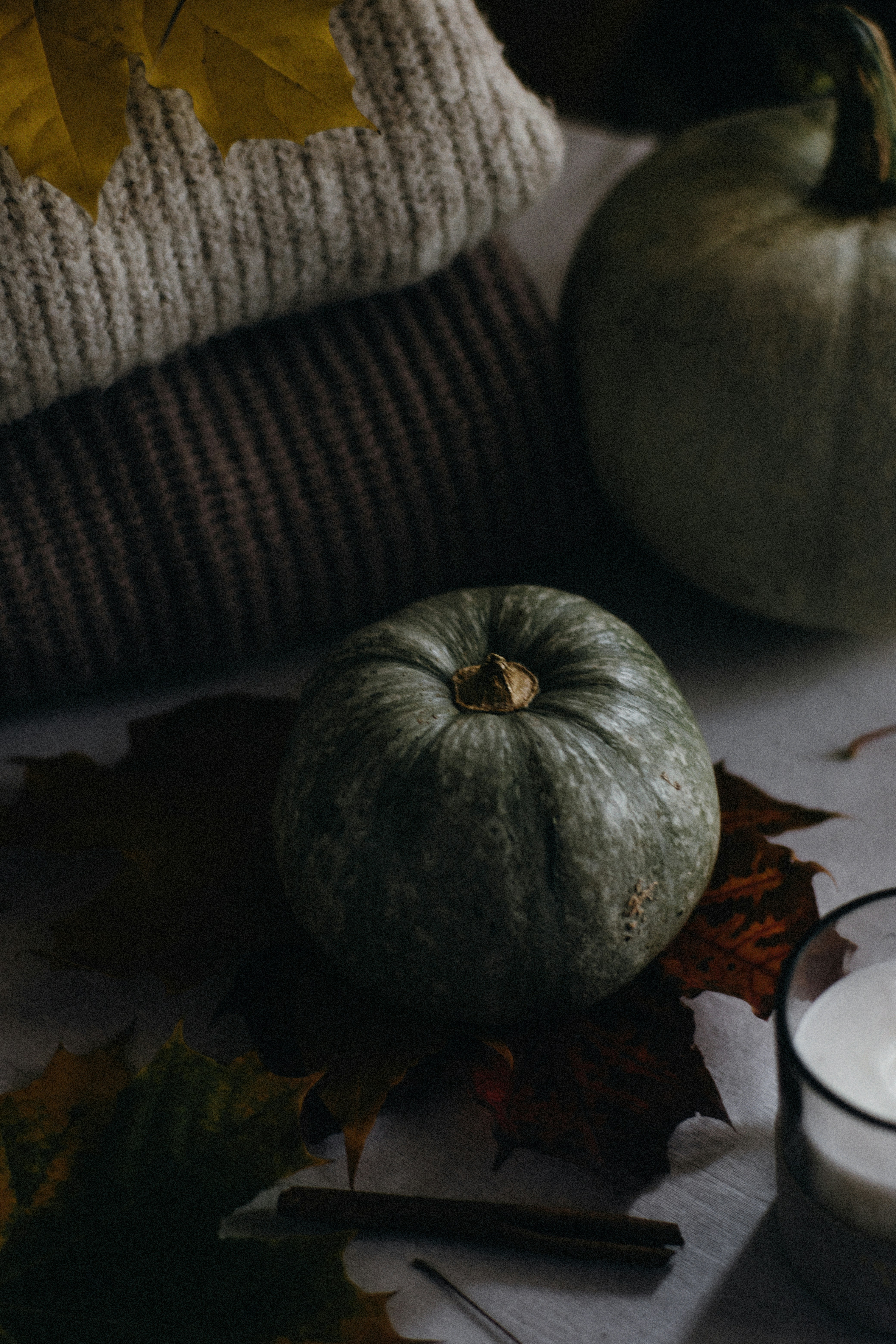 Cozy Fall Cardigans