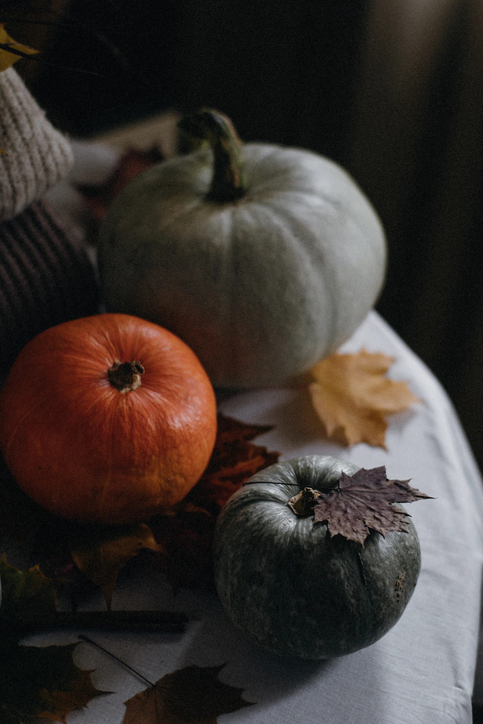 A table topped with pumpkins and autumn leaves