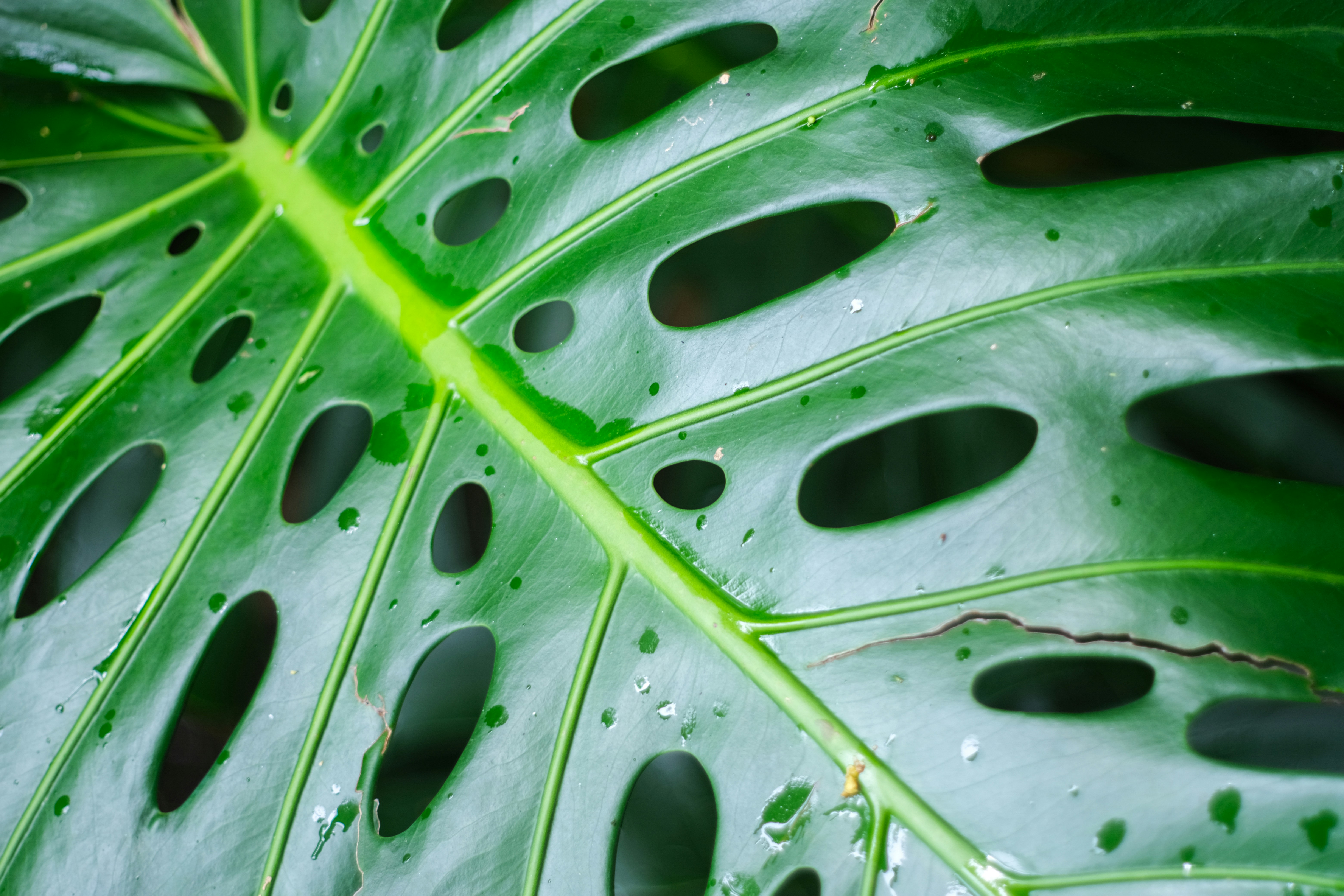 Photo by cestmoisheedy