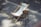 A white canvas deck chair is set up on a paved sidewalk next to a round wooden stool with black legs. The setting is outdoors on a sunny day, with patches of sunlight and shadows cast on the pavement. Yellow lines are painted on the ground, indicating parking or traffic regulation.