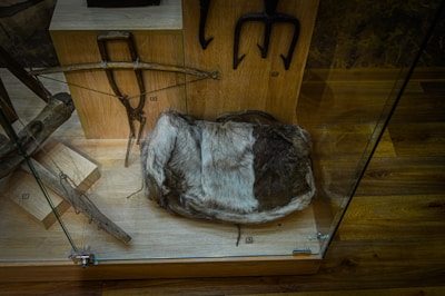 A wooden display case contains several historical artifacts, including a piece of fur, a wooden crossbow, and iron farming tools mounted on a wooden backboard. The background features a wooden floor and other objects, possibly in a museum setting.