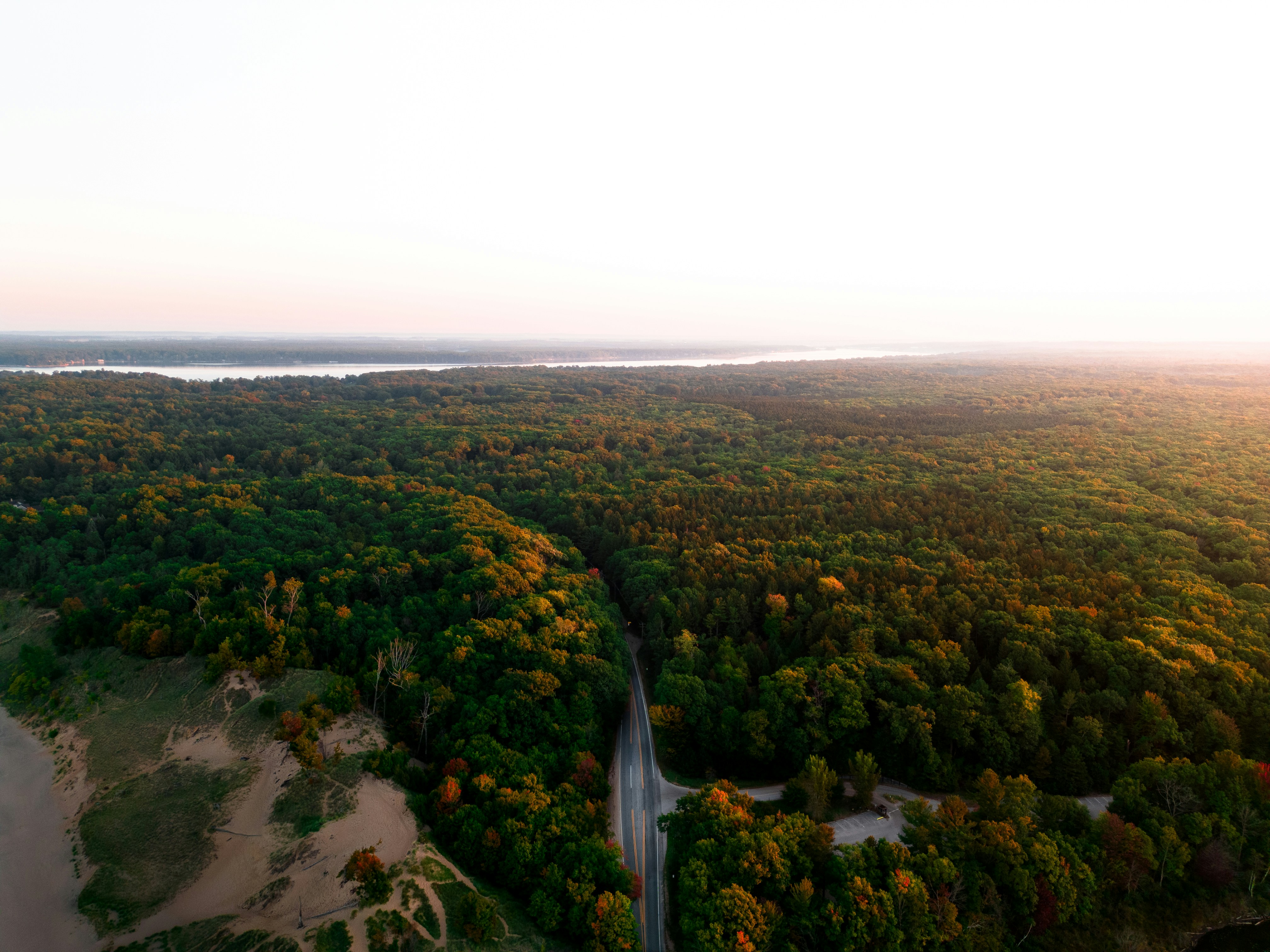 Luftaufnahme einer von Bäumen umgebenen Straße