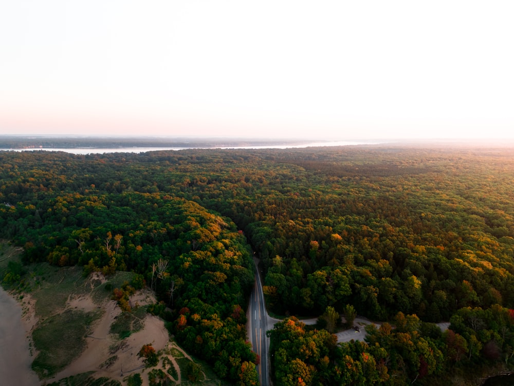 an aerial view of a road surrounded by trees