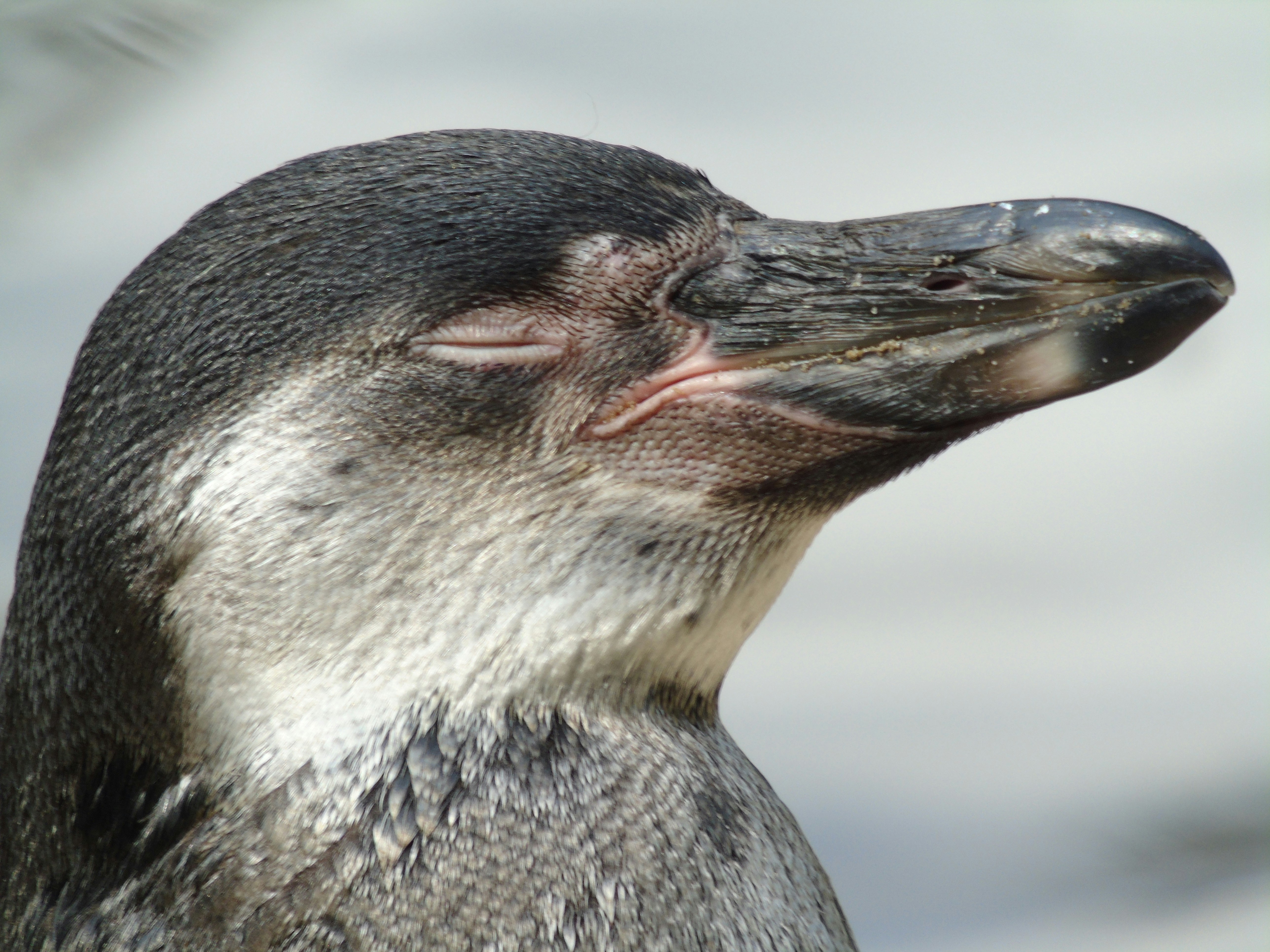 Photo by ejanssen_23