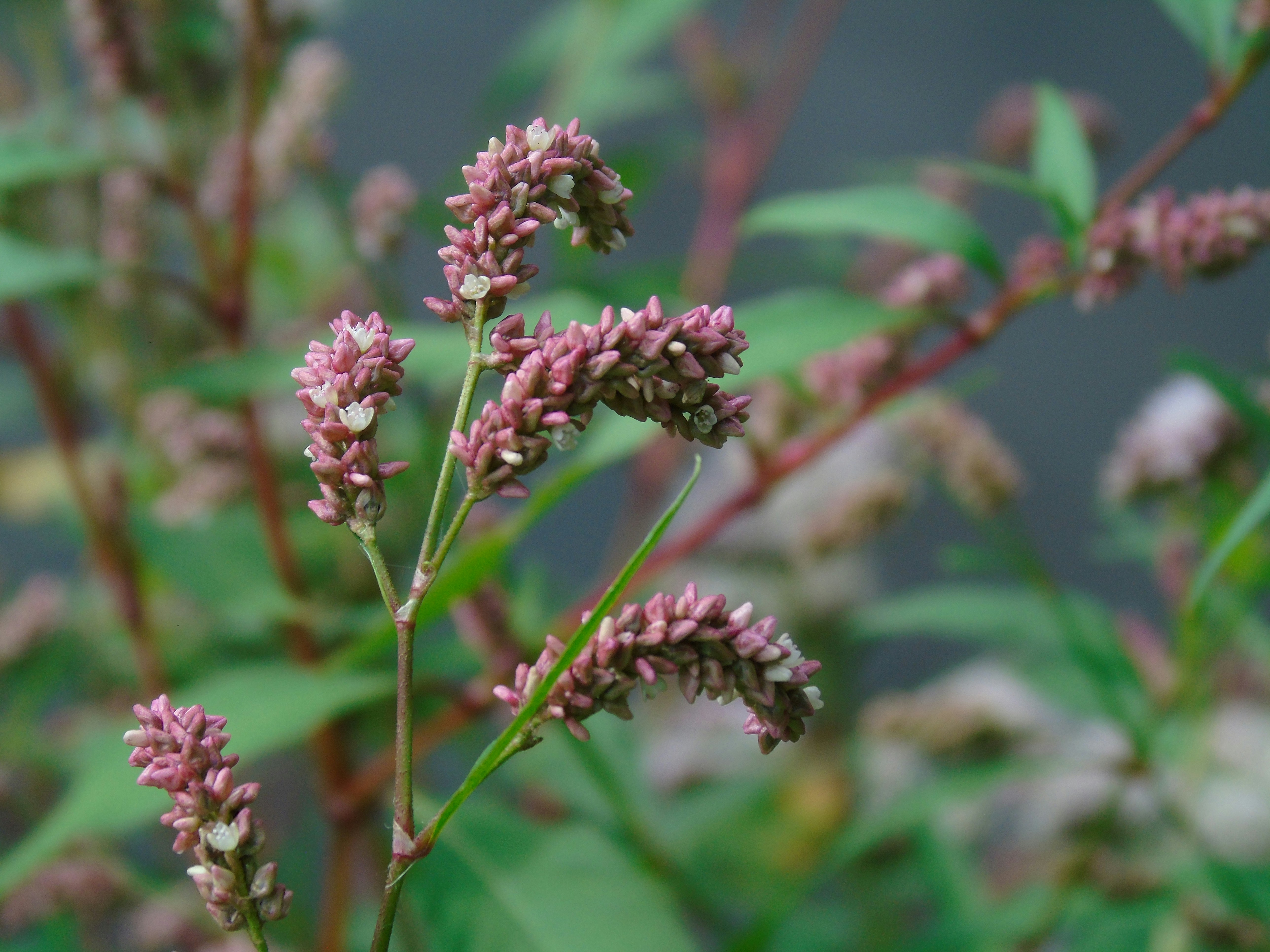 Photo by ejanssen_23