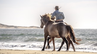 a man riding on the back of a brown horse on a beach