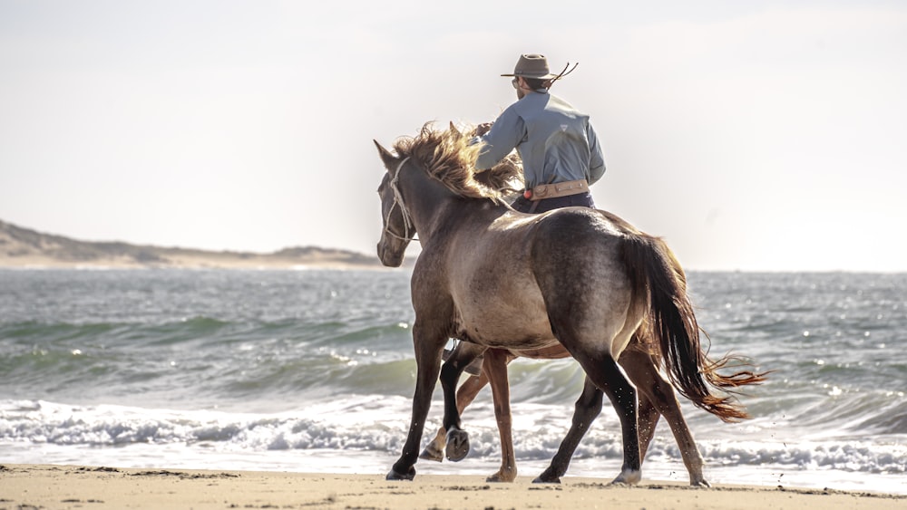 a man riding on the back of a brown horse on a beach