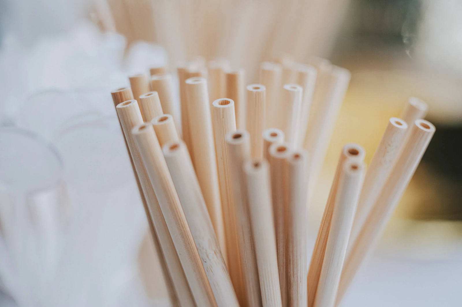 Natural drinking straws grouped in a cup