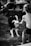 A black and white photograph captures a playful interaction between a dog and a shirtless child. The dog, a border collie, is pulling on a stick held by the child. Both the dog and child appear animated and engaged in a game of tug-of-war, set outdoors on grass with blurred people and a picnic table in the background.