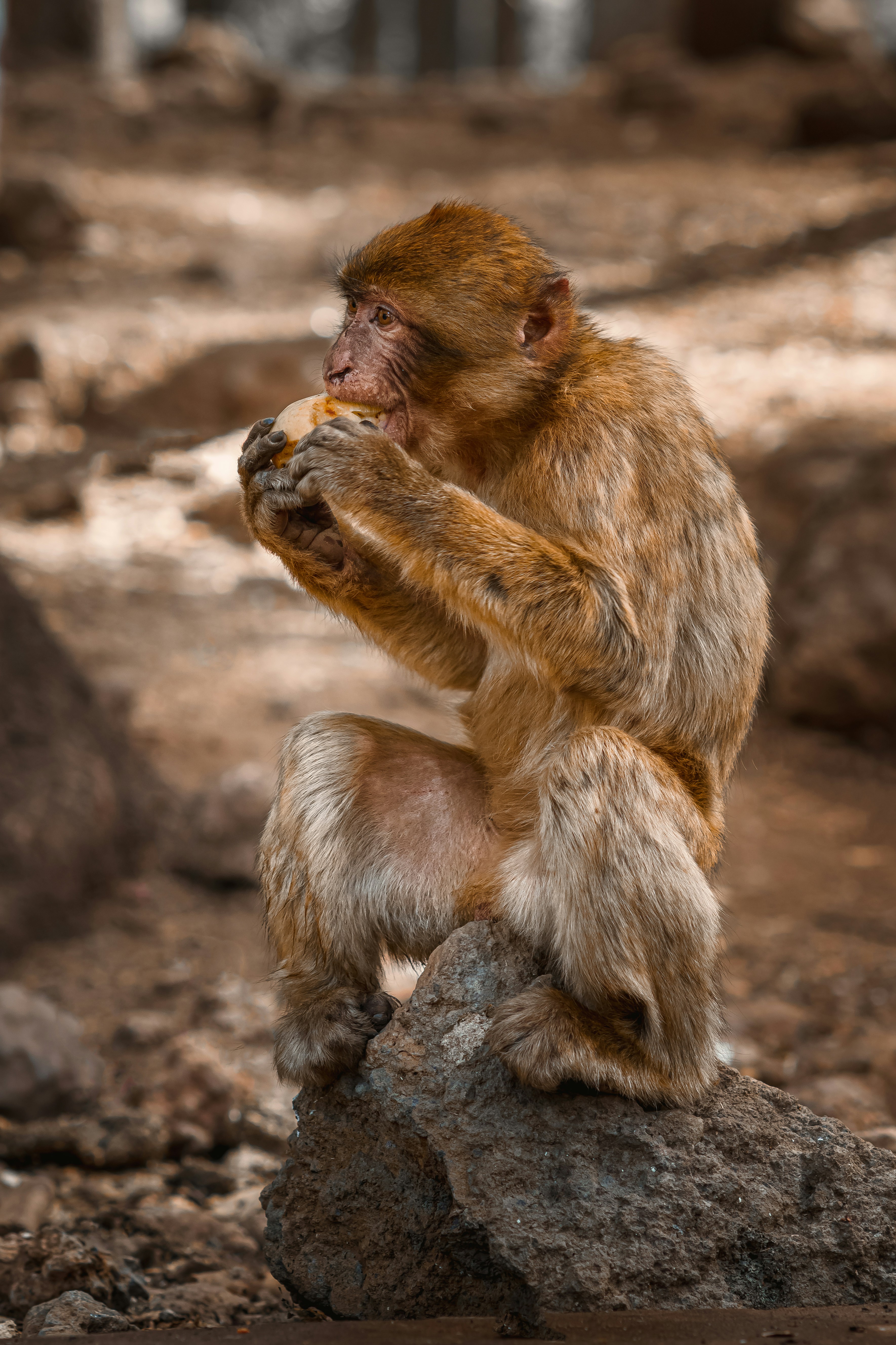 Photo by limamauro23