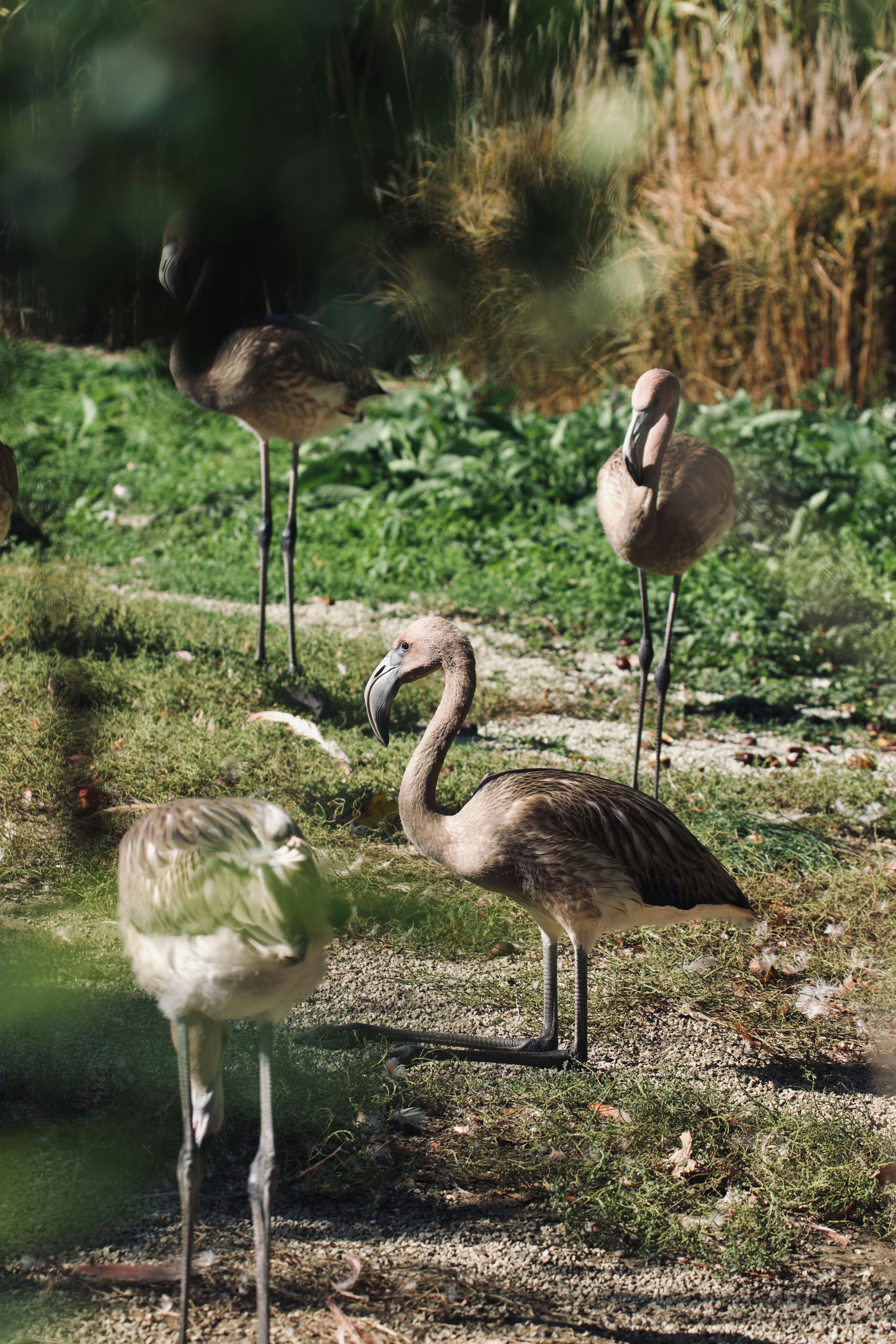 Photo by jakub_neskora