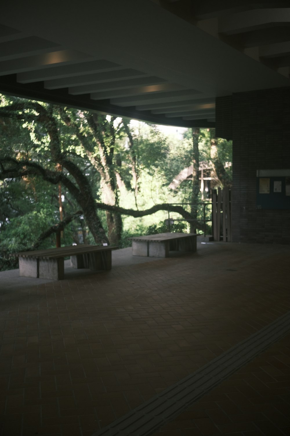 a large open space with benches and trees