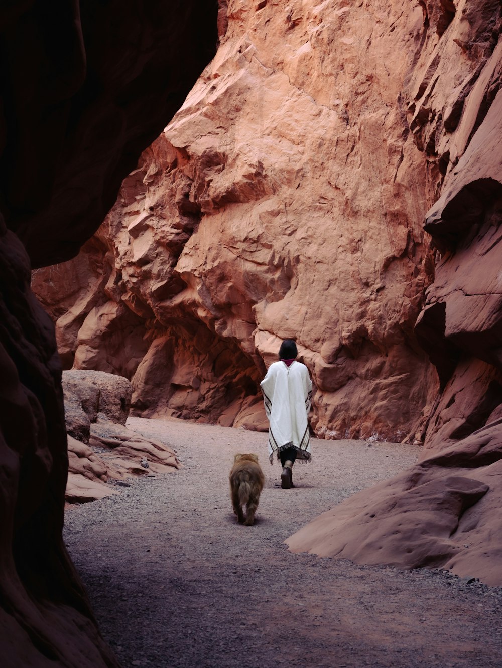 a man walking through a canyon with two bears