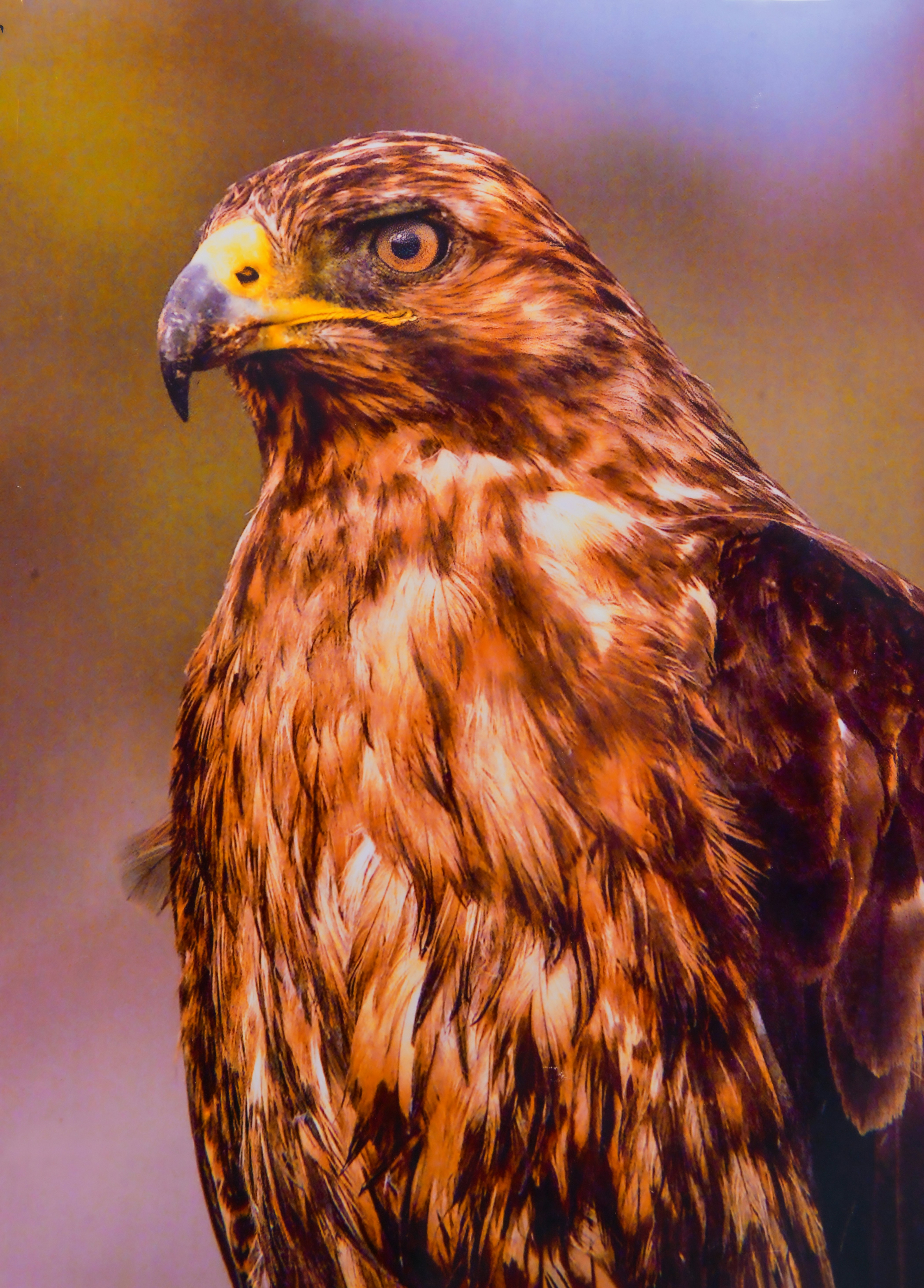 Photo by nikonphotoman2023