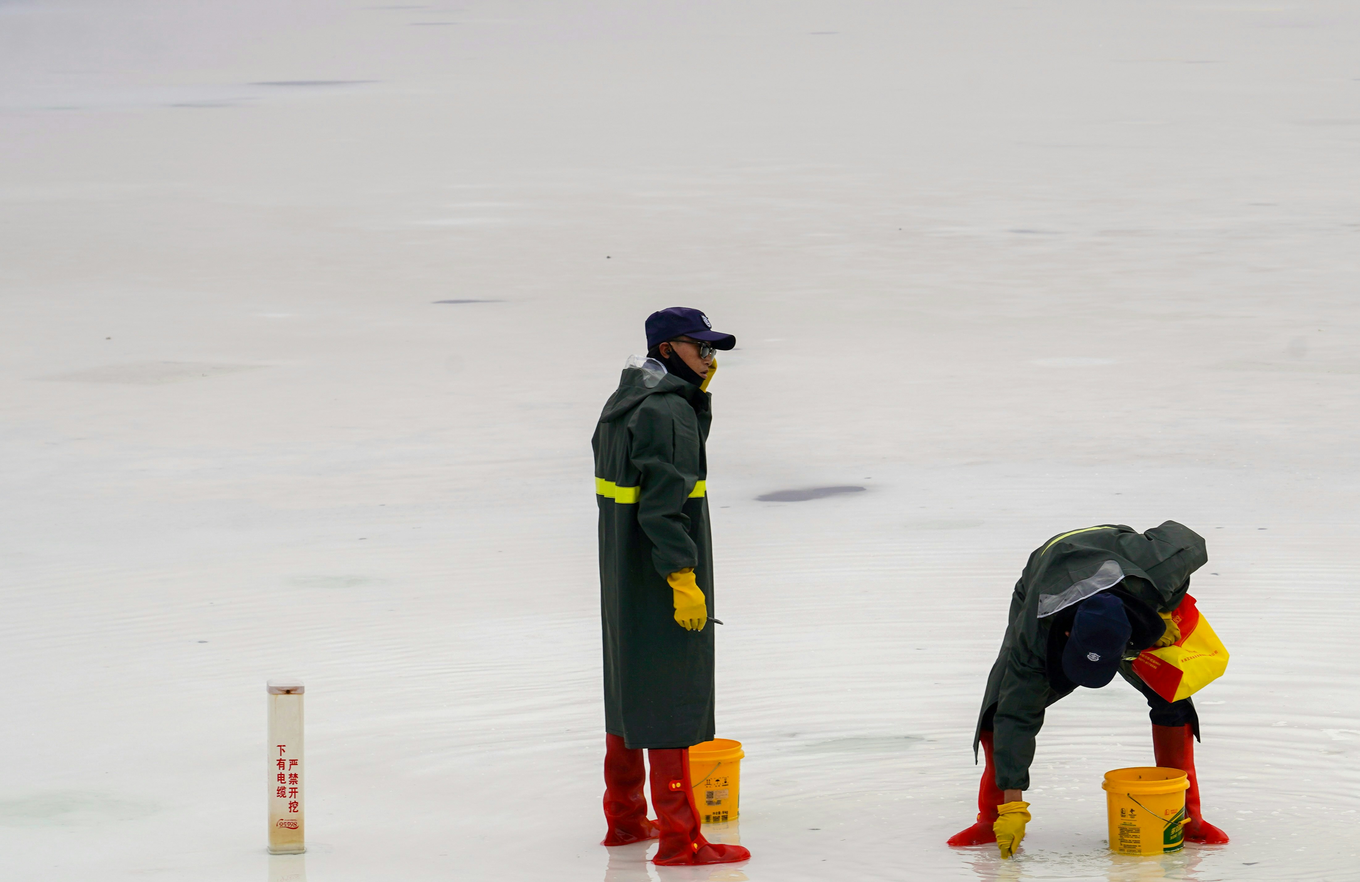 The Reign of King Kohli: Latest Updates & Unrivaled Impact