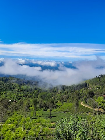 Lush green hills with tea plantations stretch across the landscape, under a bright blue sky. A few scattered clouds hover above, partially covering the distant mountains. Tall trees punctuate the rolling greenery.