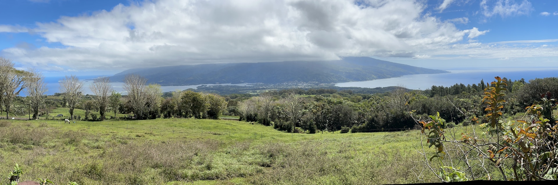woman wearing yellow long-sleeved dress under white clouds and blue sky during daytime