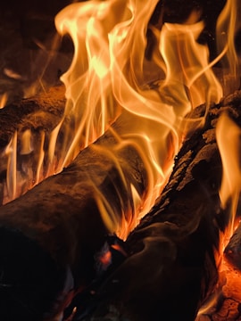 Wood logs being consumed by vibrant, orange flames. The wooden logs are burning intensely with visible layers of fire.