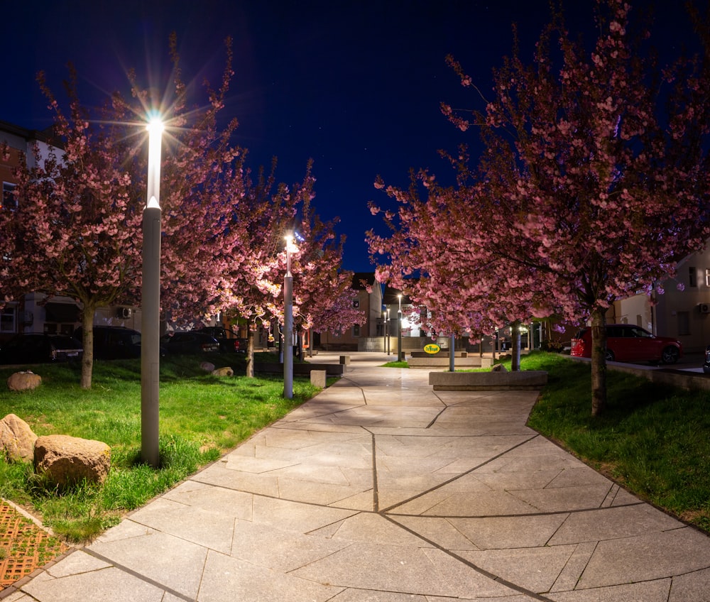 a sidewalk with a bunch of pink flowers on it