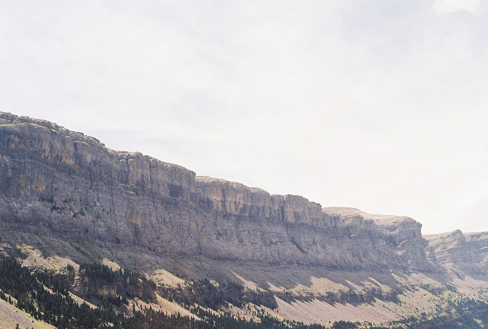 a group of people riding horses on top of a mountain