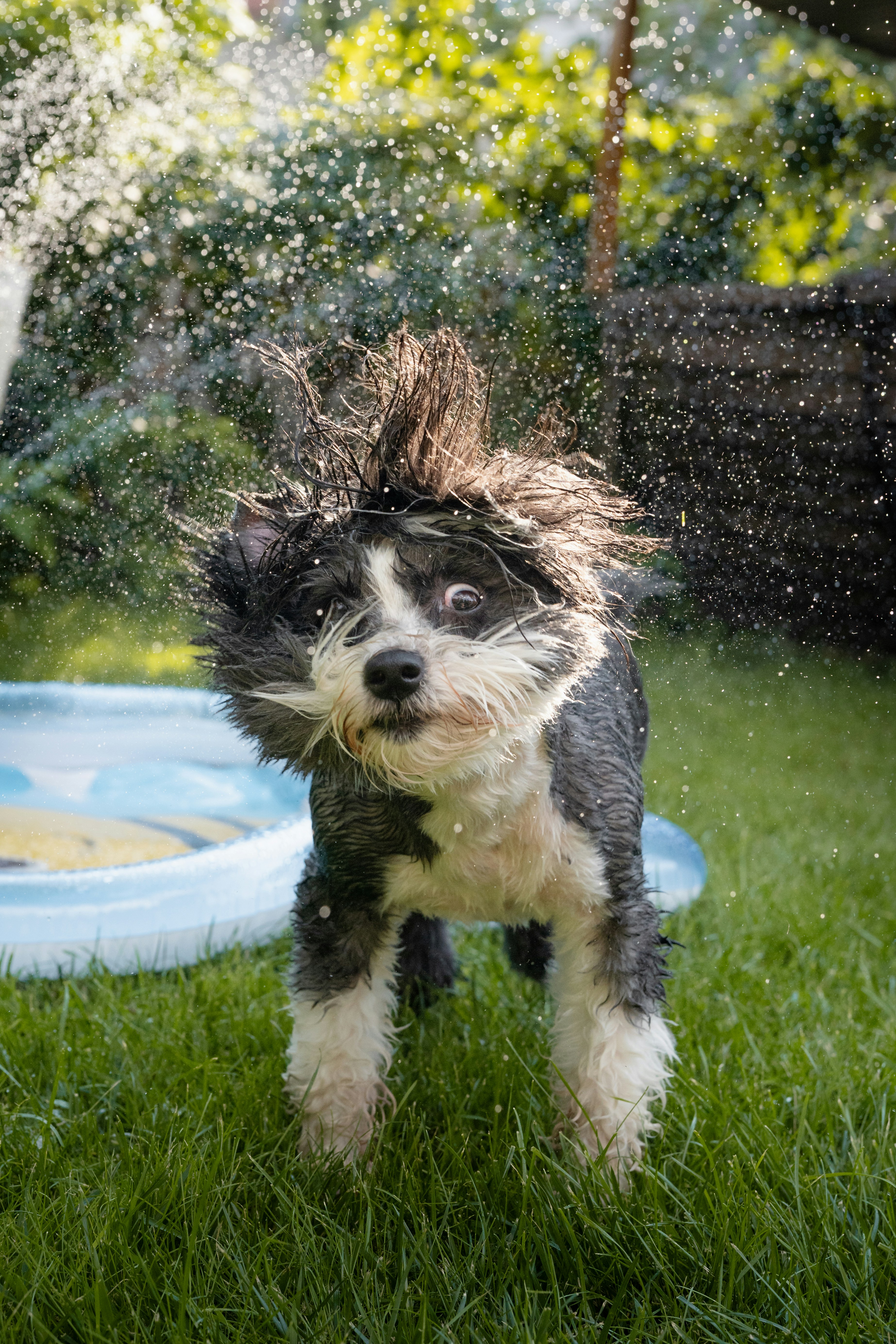 Photo by deoliveiravictor