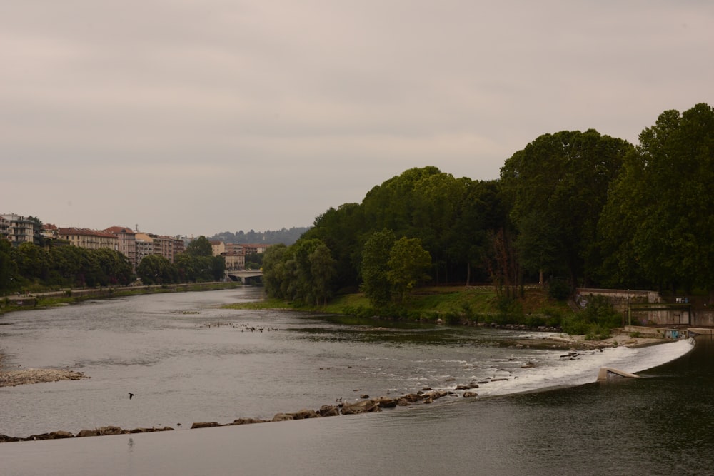 a body of water surrounded by trees and buildings