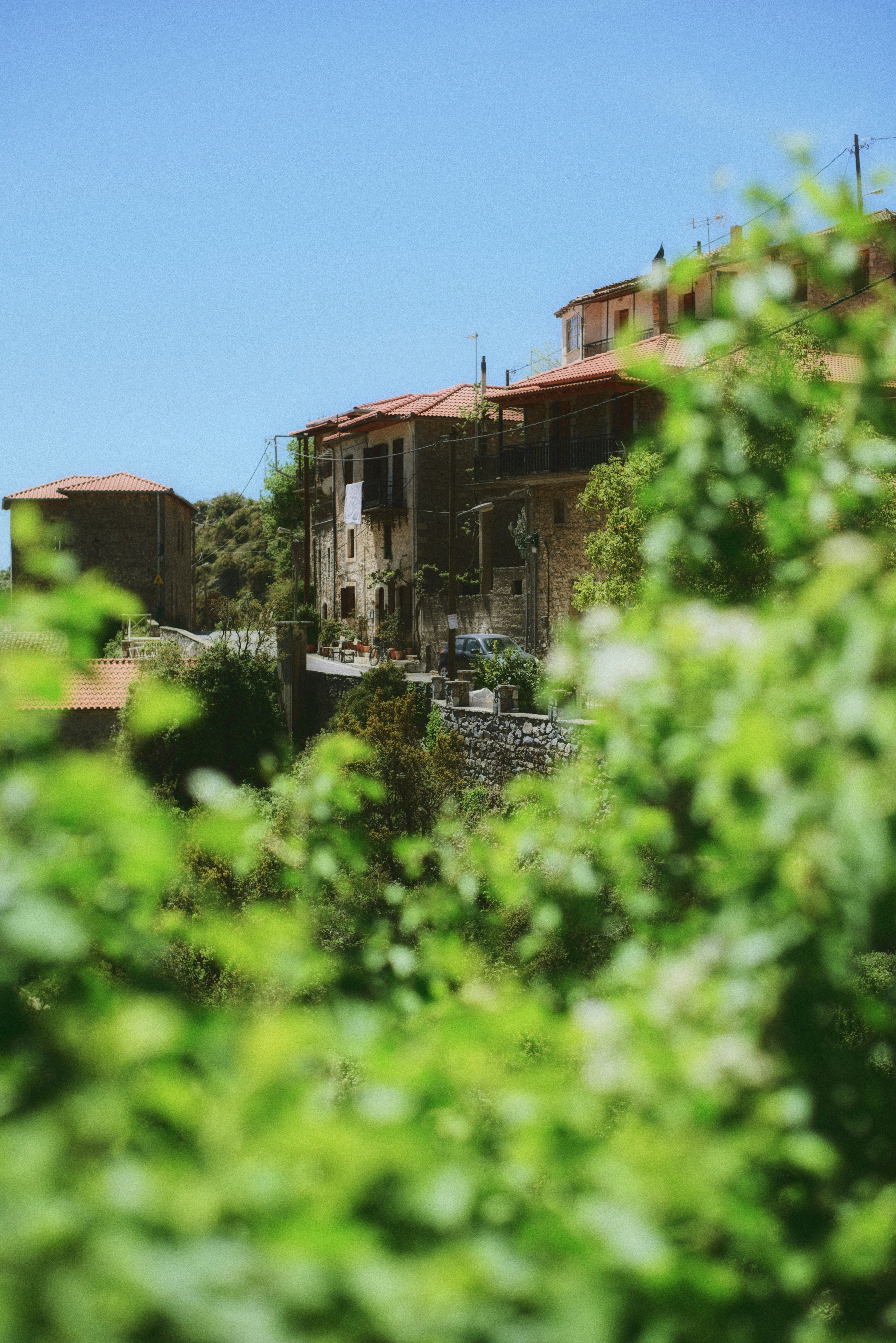 Photo by yorgostriantafyllou