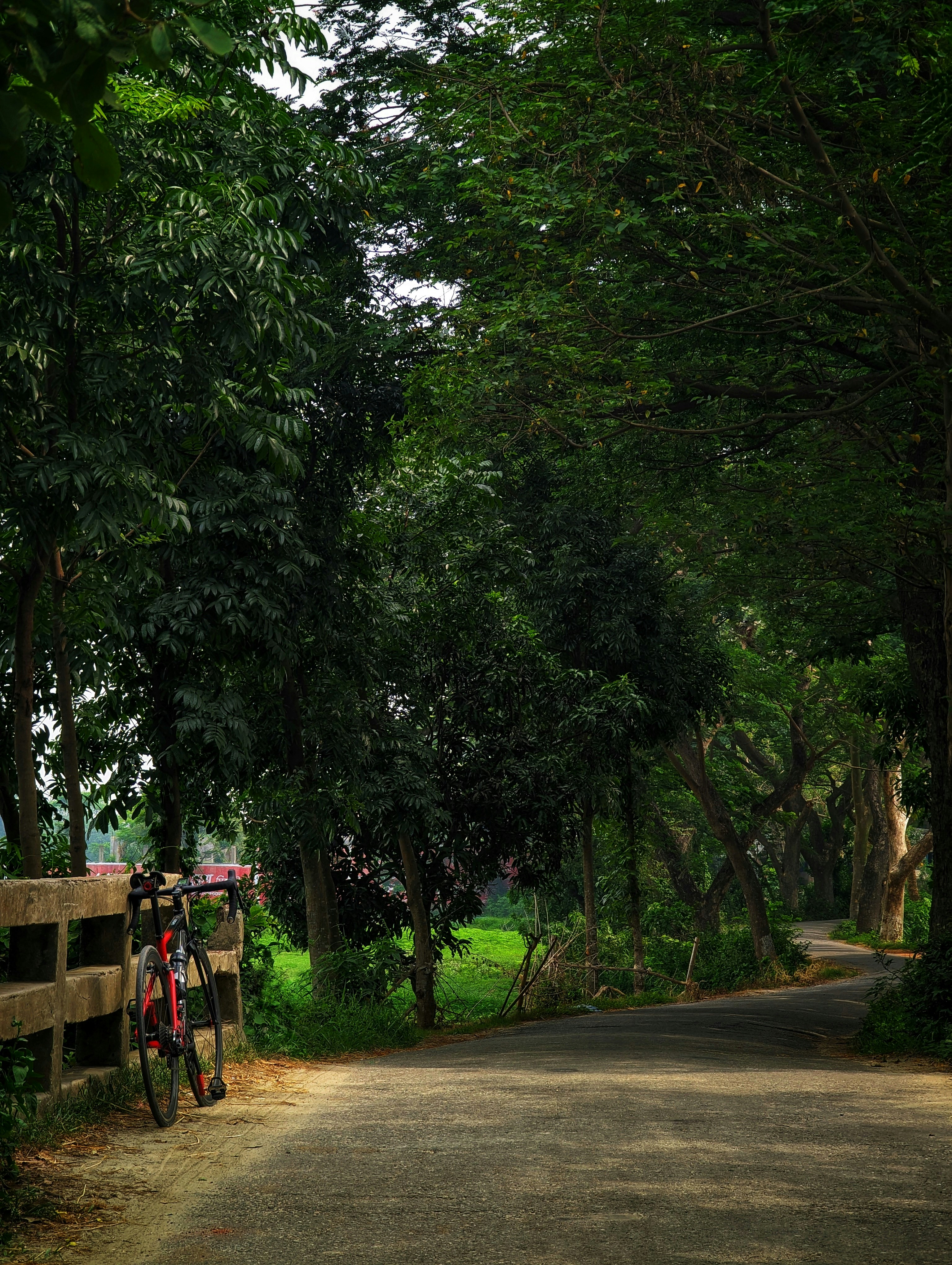 Photo by sadnanbashar