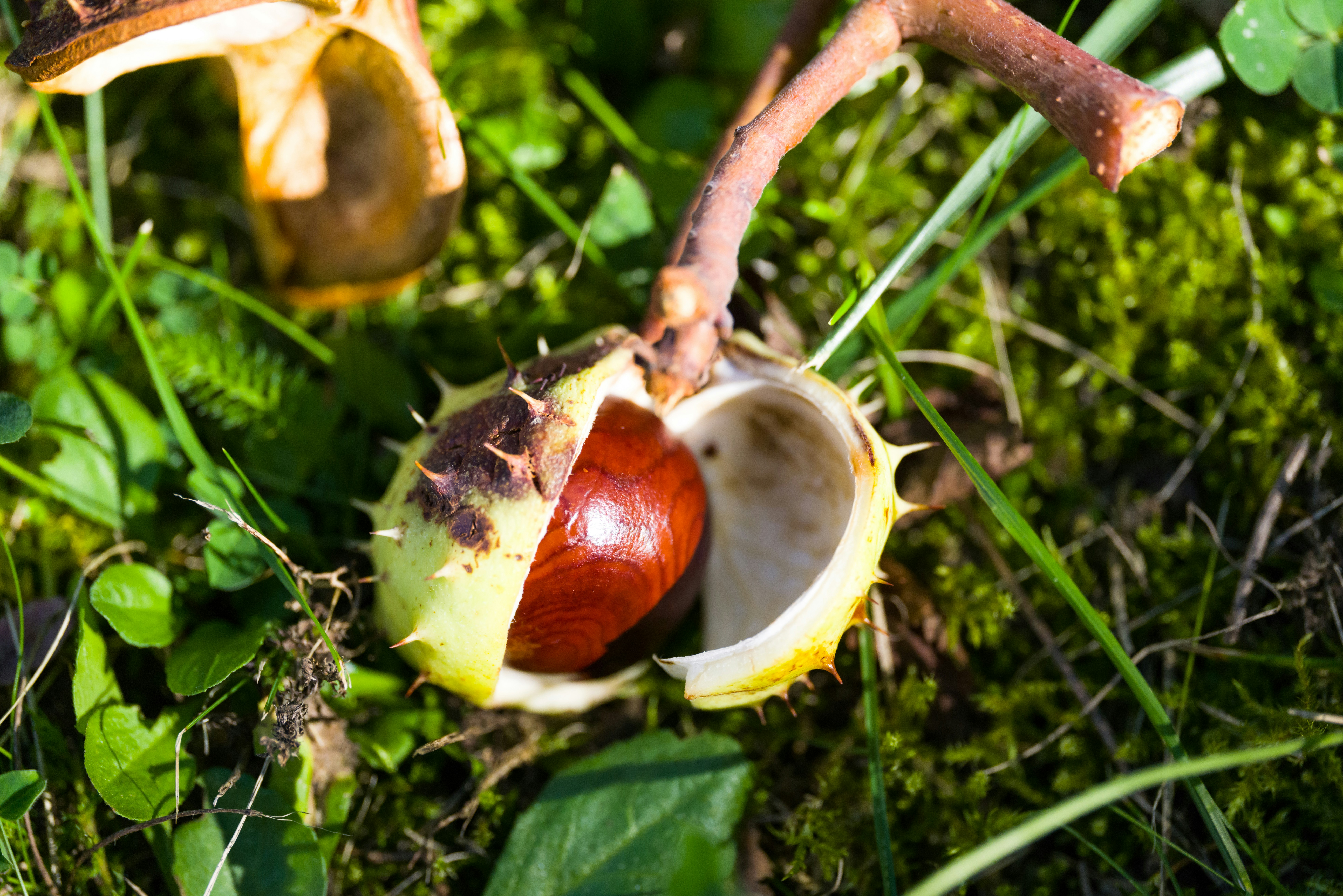 Photo by georgeiermann