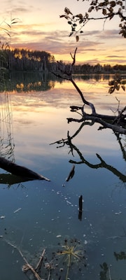 A tranquil lake reflecting a colorful sunset sky with hues of orange, pink, and purple. The water surface mirrors the scene with silhouetted trees in the distance and overhanging branches in the foreground. Sparse vegetation can be seen along the water's edge, enhancing the natural and serene environment.