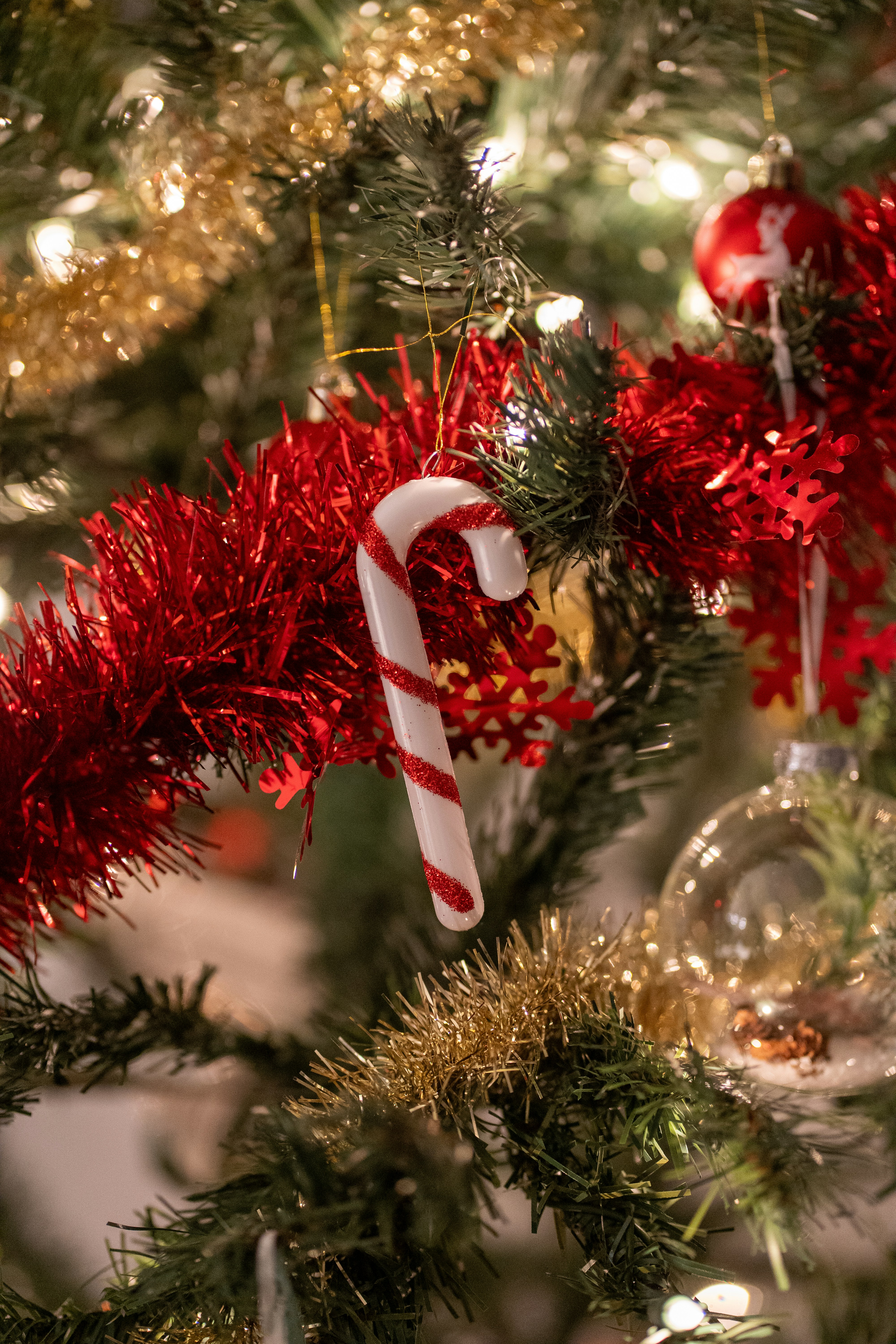 Photo by clementproust