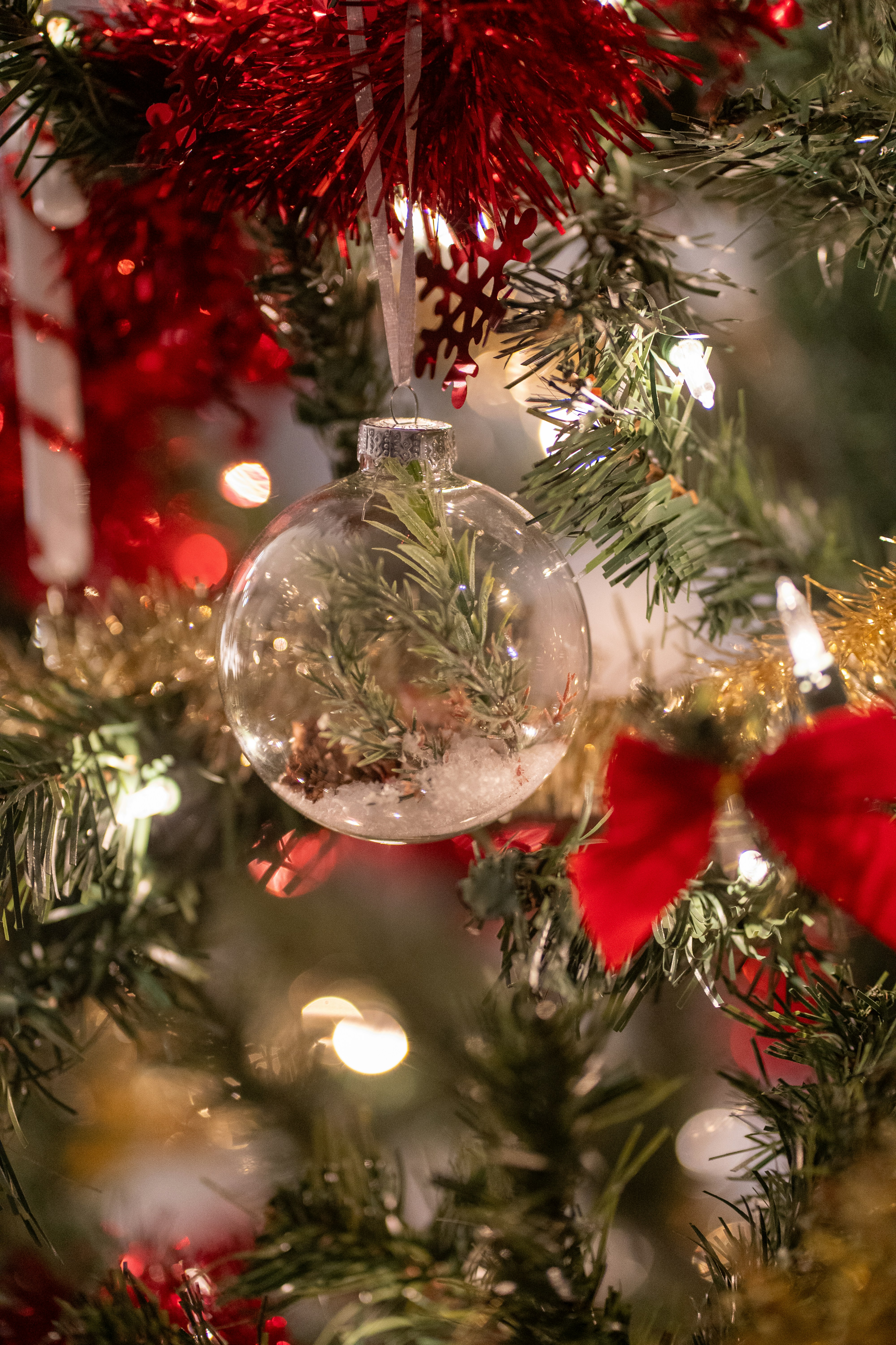 Photo by clementproust