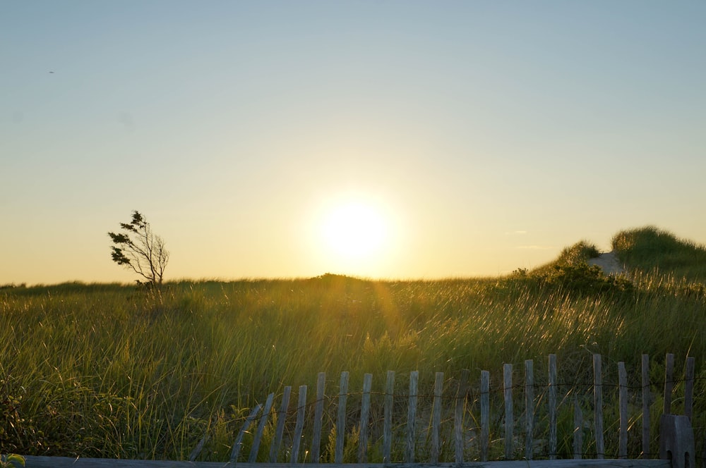 the sun is setting over a grassy field