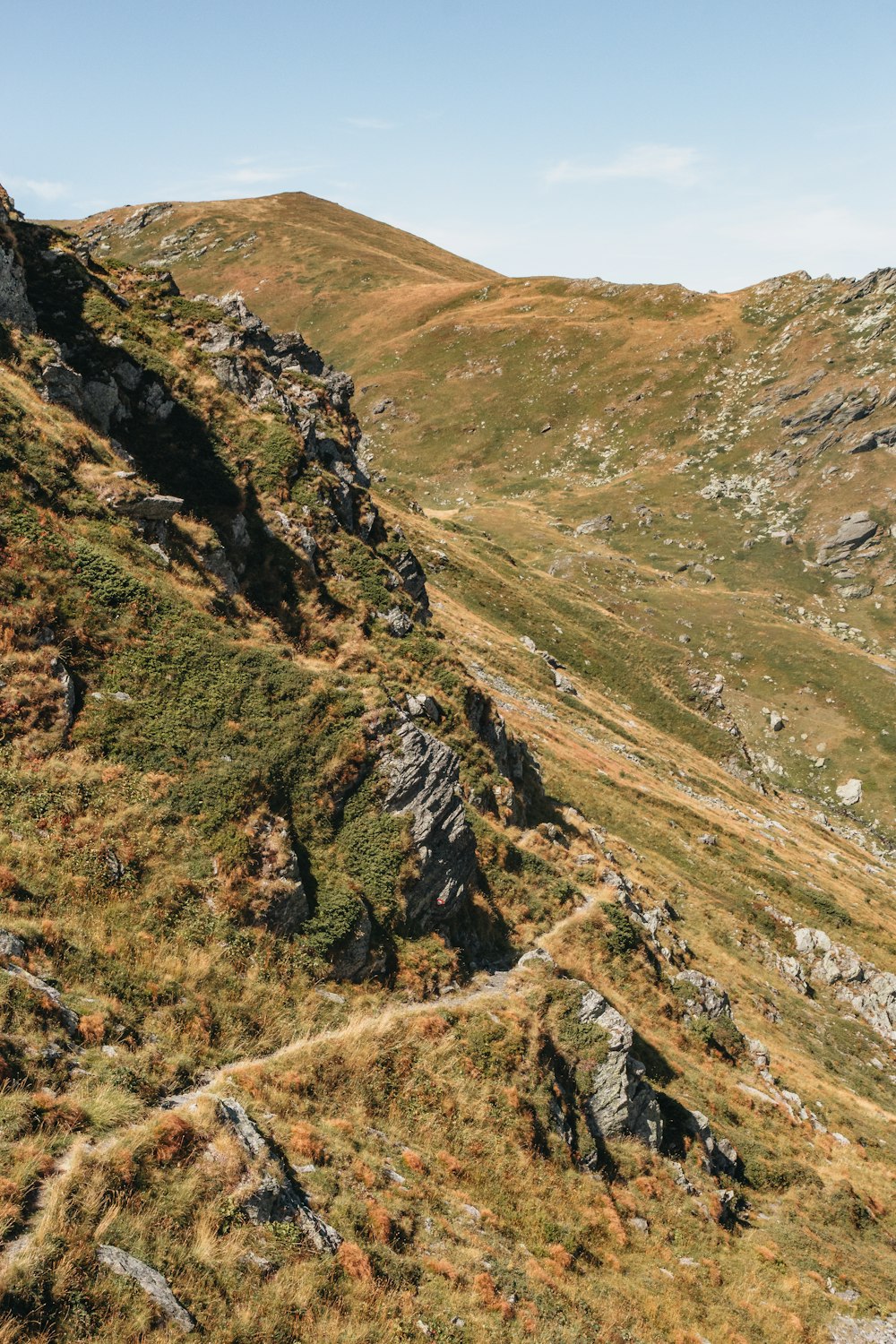 a grassy hill with a trail going through it