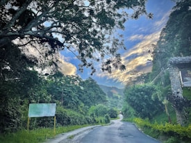 A winding road leads through lush, dense green foliage under a sky with dynamic cloud patterns. Tall trees partially covered in shadows frame the scene, while a stone structure with signage appears on the right. The road seems to disappear into the distant hills, suggesting a serene and somewhat mysterious journey.