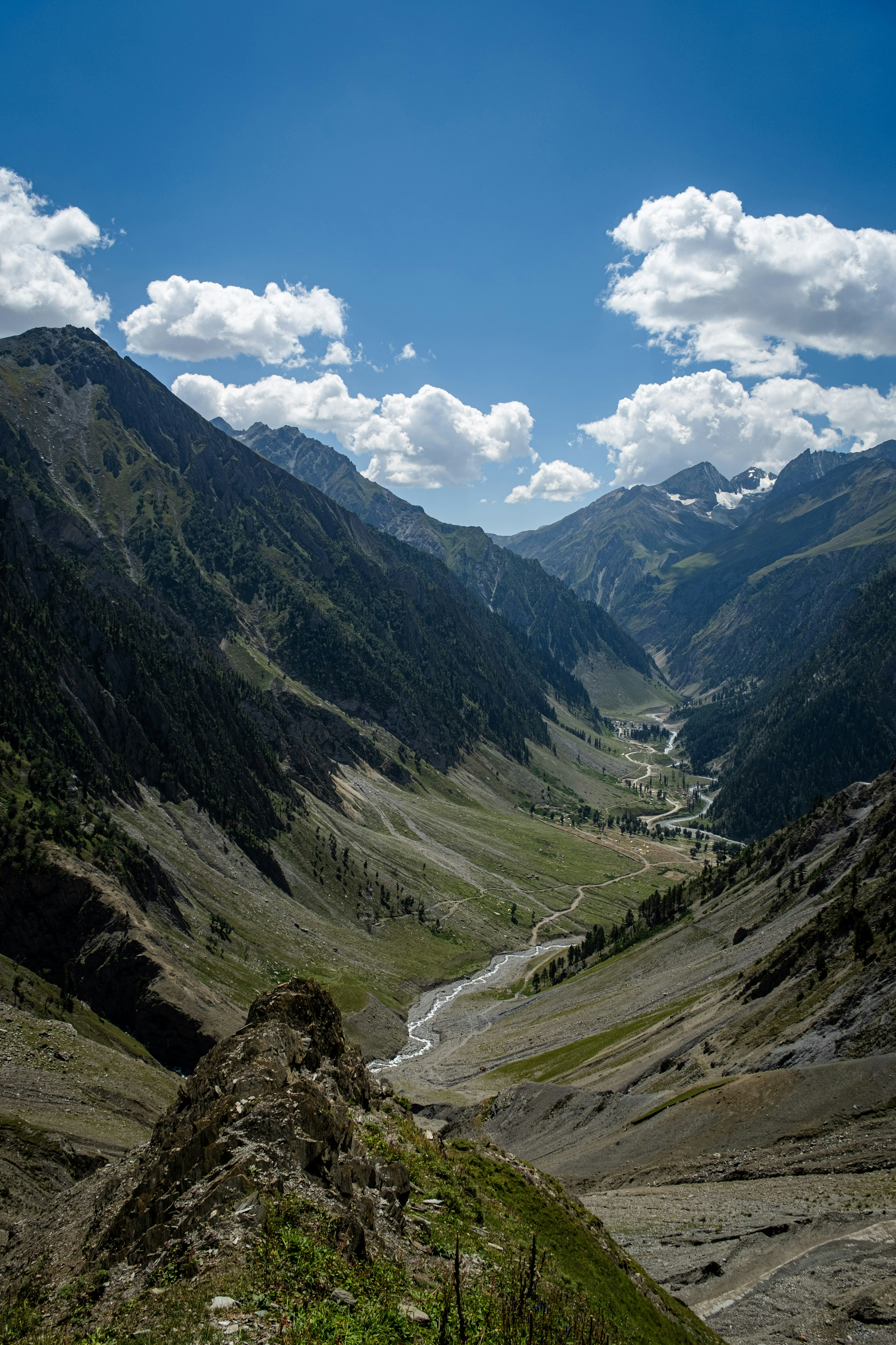 Photo by v91_photography