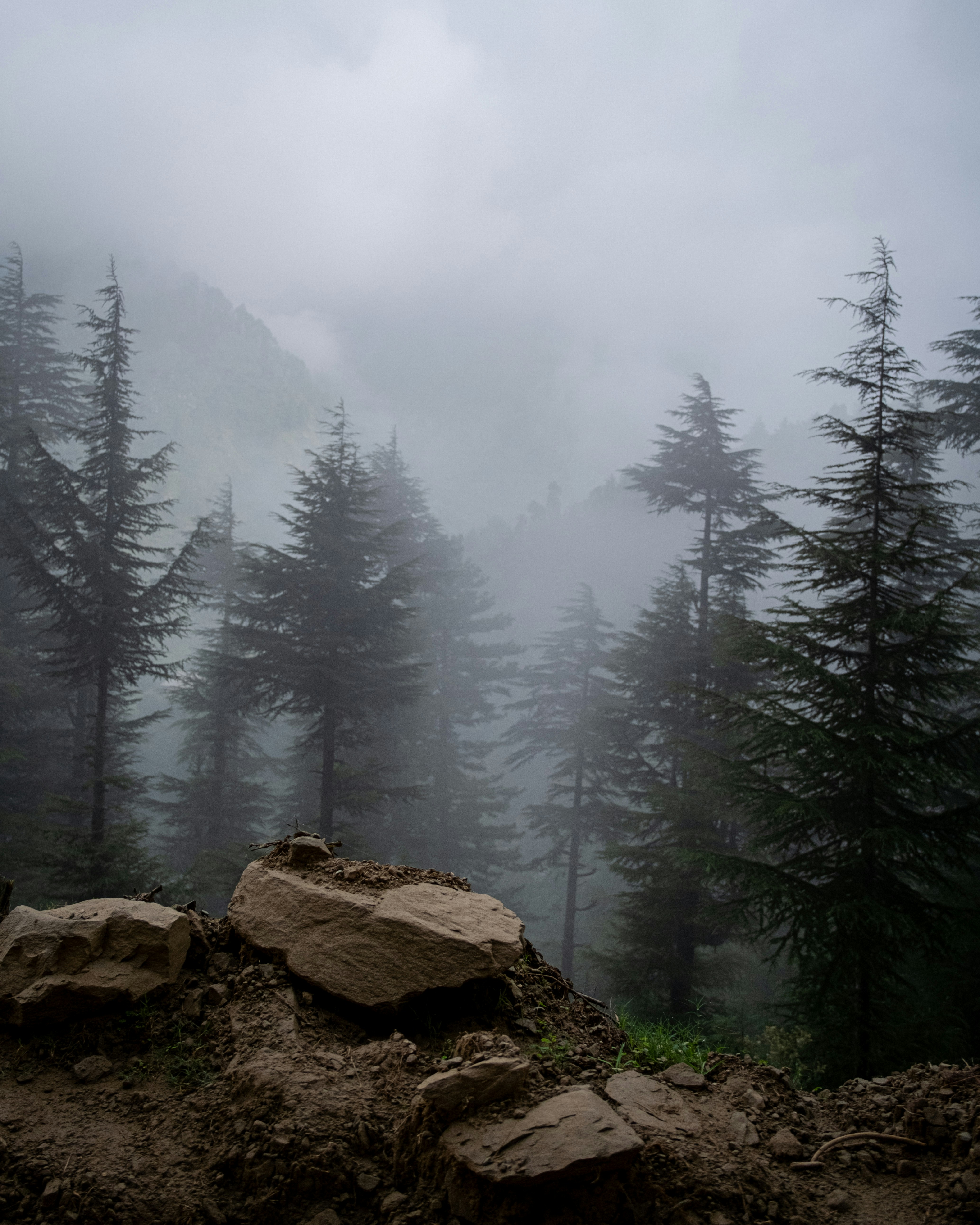 Photo by v91_photography