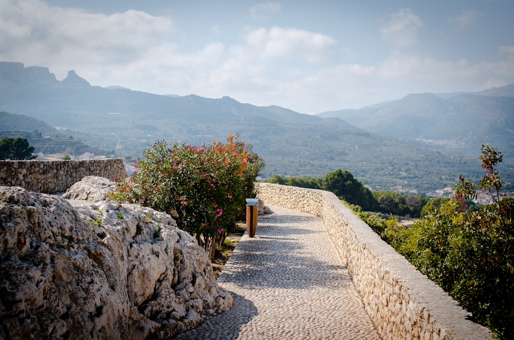 a stone path leading to a mountain range