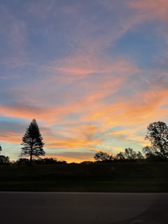 A serene sunset behind a lone tree, evoking calm and reflection.