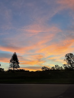 A serene sunset behind a lone tree, evoking calm and reflection.