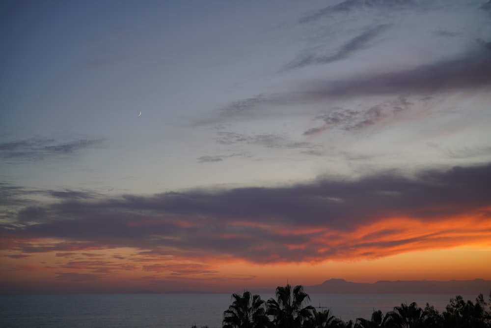 the sun is setting over the ocean with palm trees