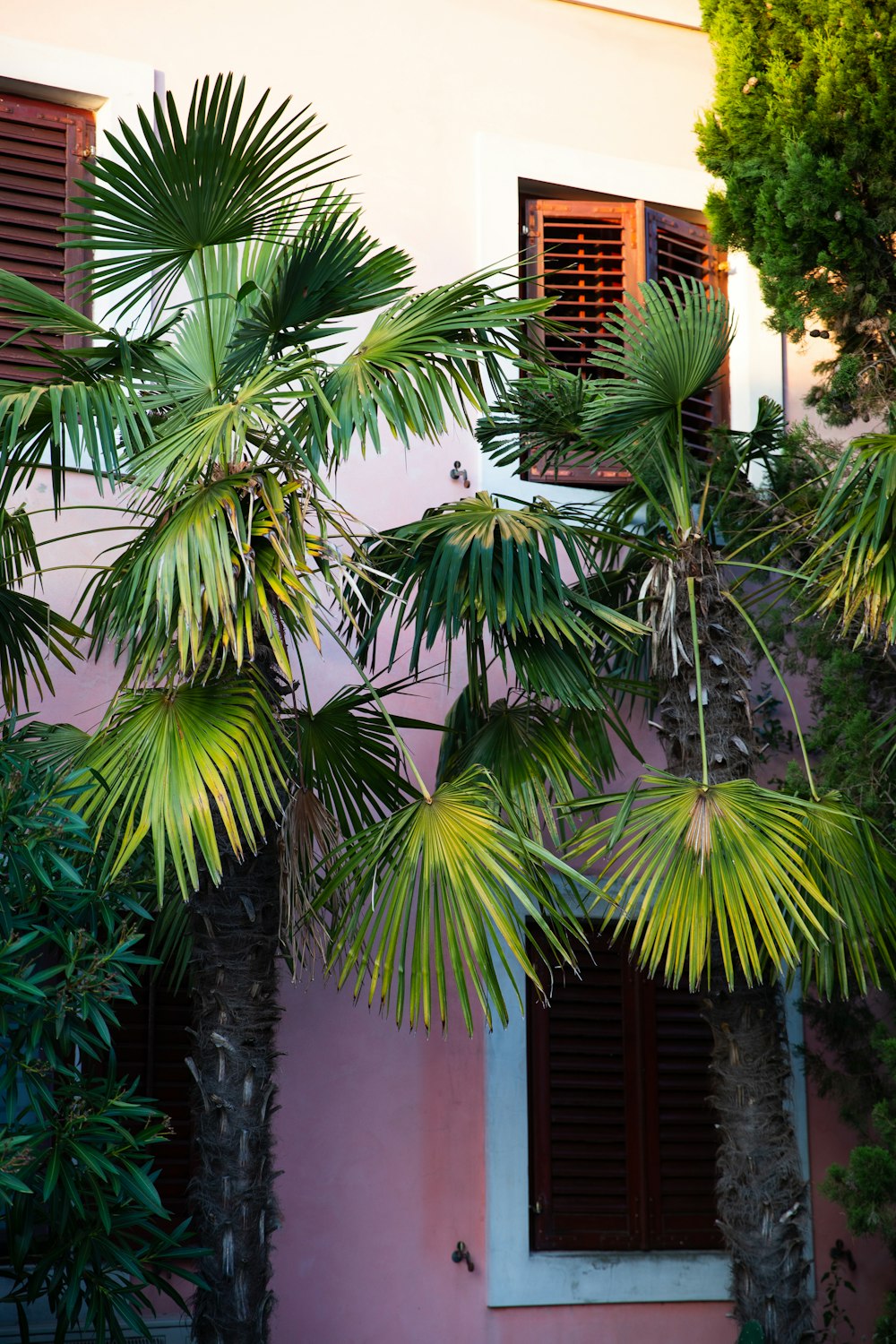 a pink building with palm trees in front of it