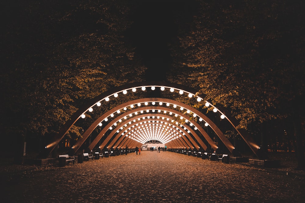 a lit up tunnel in the middle of a park
