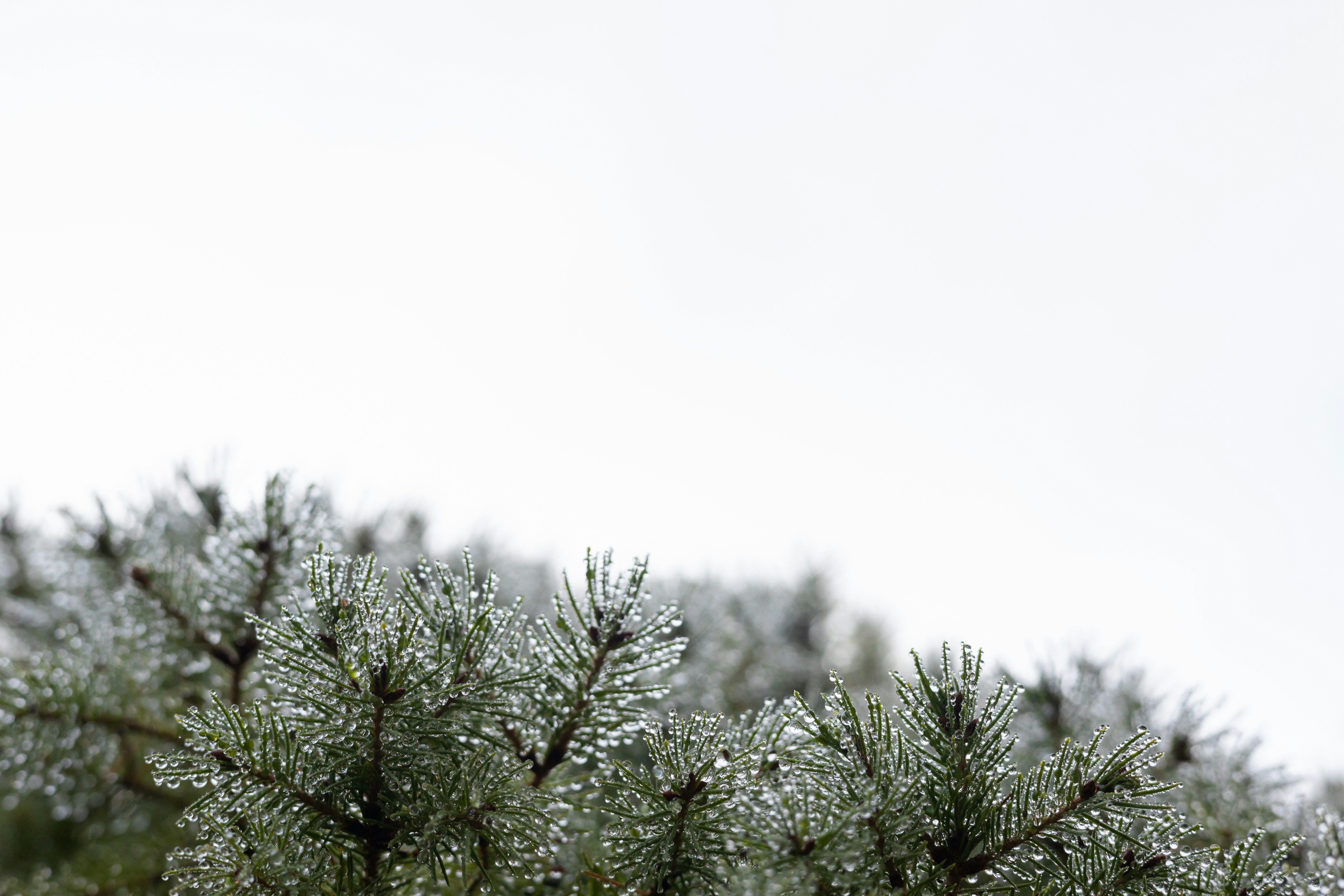 Photo by greg_rosenke